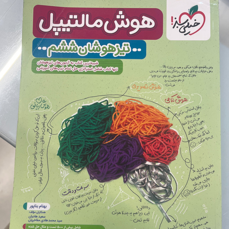 کتاب هوش مالتیپل تیزهوشان ششم